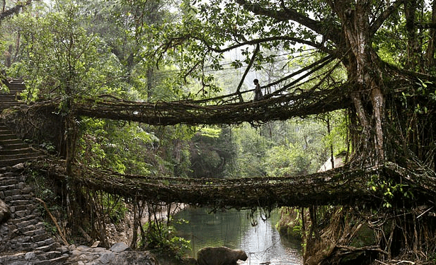 8 September 2011 - Telegraph