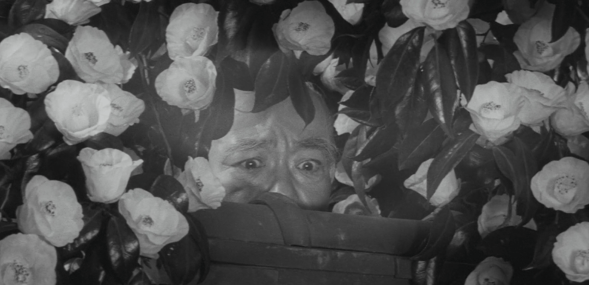 Screen Shot 2018-11-13 at 5.21.52 PM