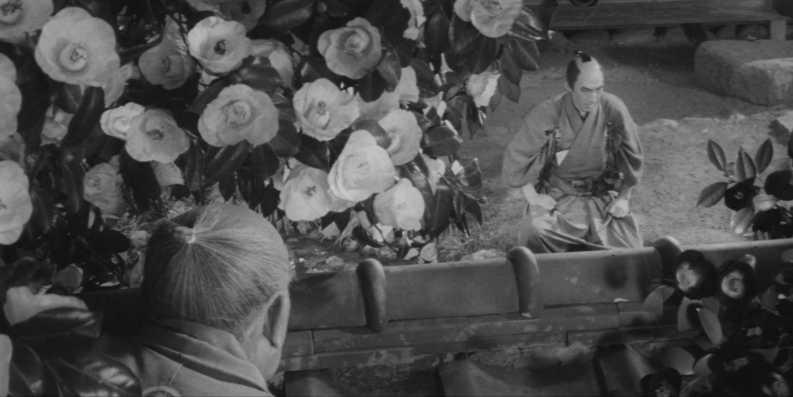 Screen Shot 2018-11-13 at 5.21.59 PM